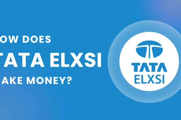 Tata Elxsi Business Model 2024 | How does Nykaa Make Money?