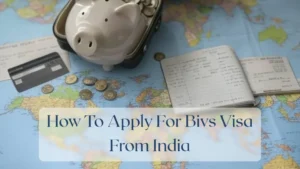 How To Apply For Bivs Visa From India - Travel Finance Featured Image