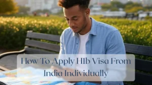 How To Apply H1b Visa From India Individually - Travel Finance Featured Image