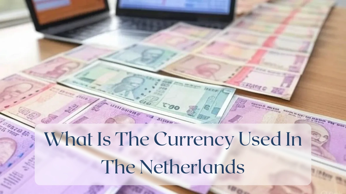 What Is The Currency Used In The Netherlands - Currency Featured Image
